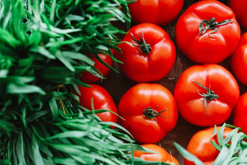 "Close-up of a vibrant red tomato with seeds, showcasing its botanical classification as a fruit."